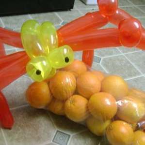 Meet your Posher, Shancha